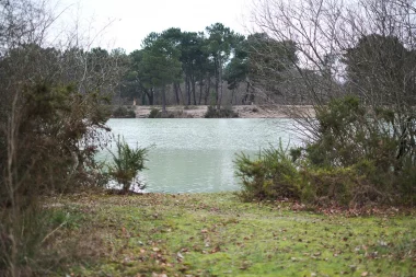 Etang de Paloumey   Bord de l'eau (4).